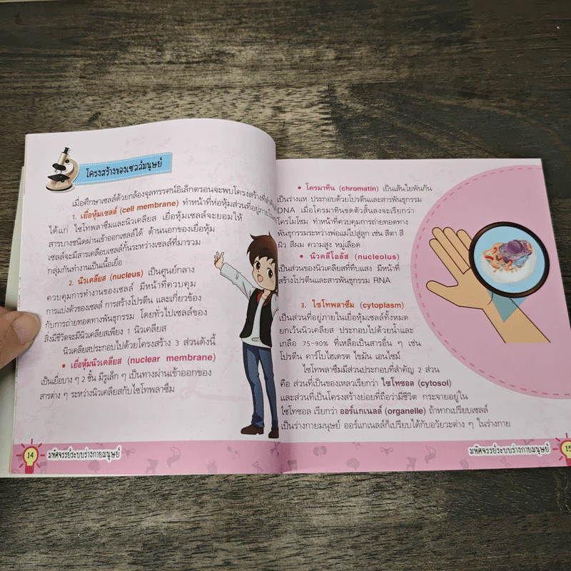 มหัศจรรย์ระบบร่างกายมนุษย์ รูปที่ 7