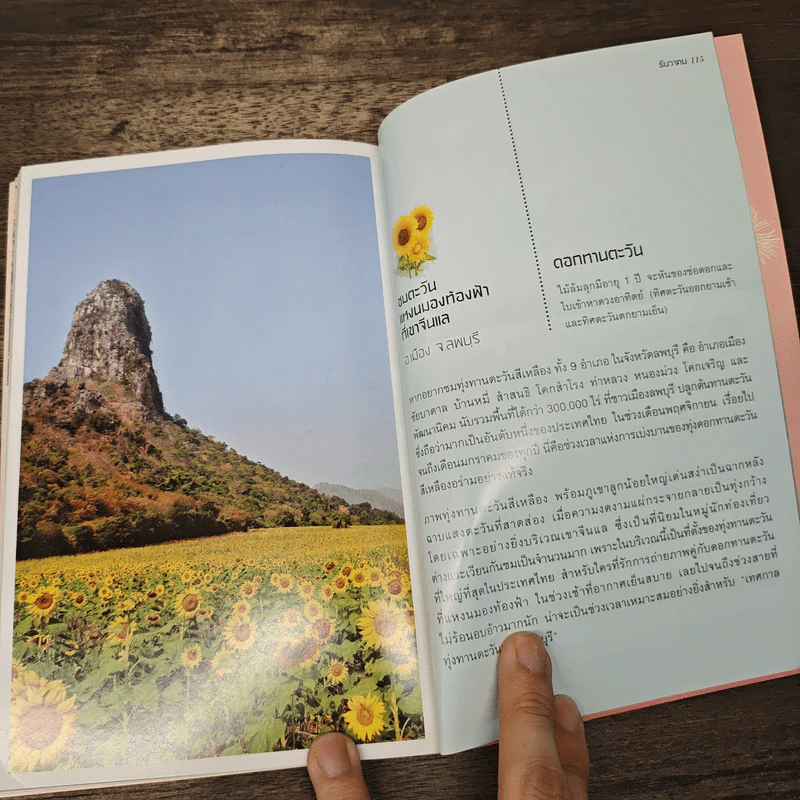Dream Destinations 2 กาลครั้งนั้น...ความฝันผลิบาน - การท่องเที่ยวแห่งประเทศไทย รูปที่ 8