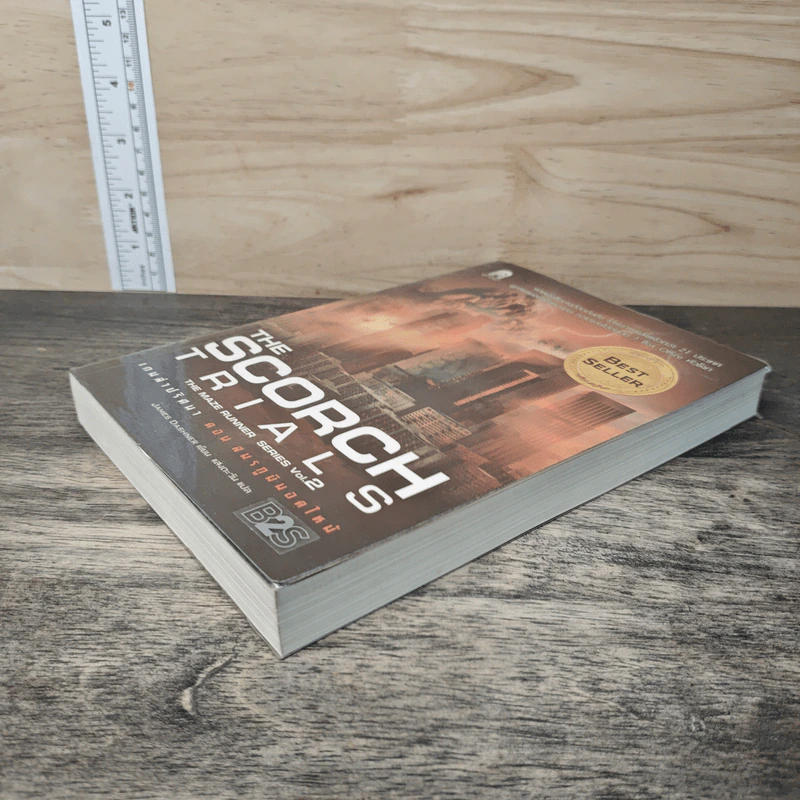 The Scorch Trials เกมล่าปริศนา ตอน สมรภูมิมอดไหม้ - เจมส์ แดชเนอร์ รูปที่ 3