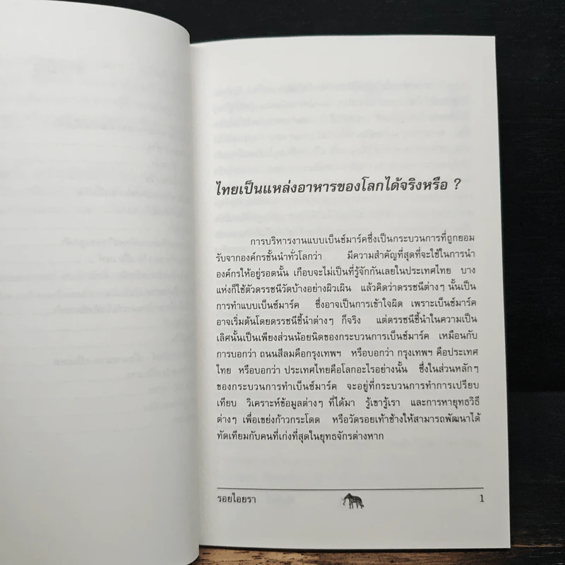 รอยไอยรา - พีรศักดิ์ วรสุนทรโรสถ รูปที่ 8