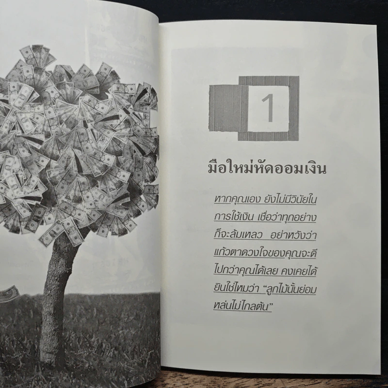 เงินล้านแค่เอื้อม - บุญชัย ใจเย็น รูปที่ 8