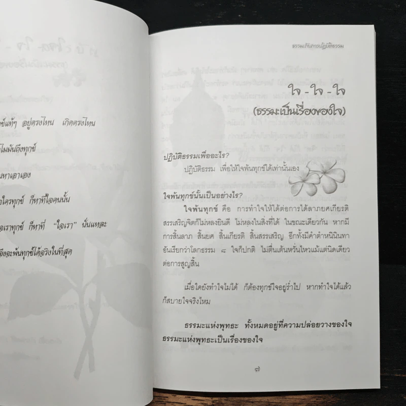 ธรรมะกับการปฏิบัติธรรม รูปที่ 8