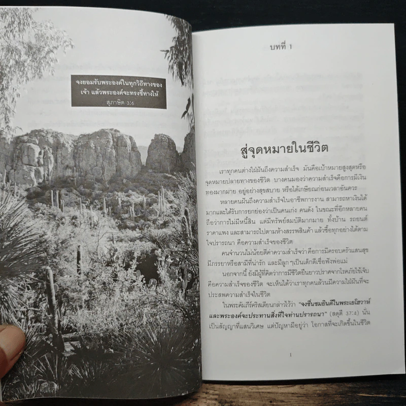พลังแห่งชีวิต รูปที่ 8