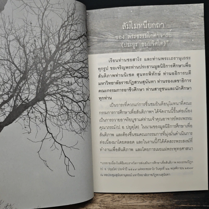 ศาสตร์ไหนสันติ - ชยสาโรภิกขุ รูปที่ 8