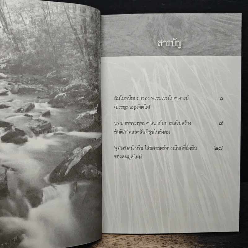 ศาสตร์ไหนสันติ - ชยสาโรภิกขุ รูปที่ 7