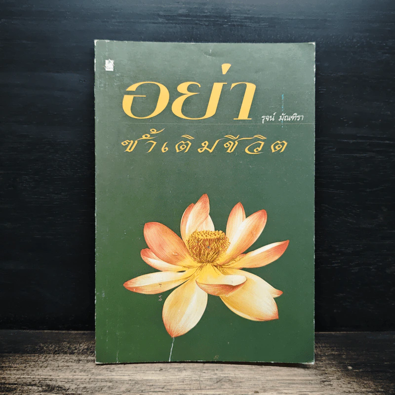 อย่าซ้ำเติมชีวิต - รุจน์ มัณฑิรา รูปที่ 1