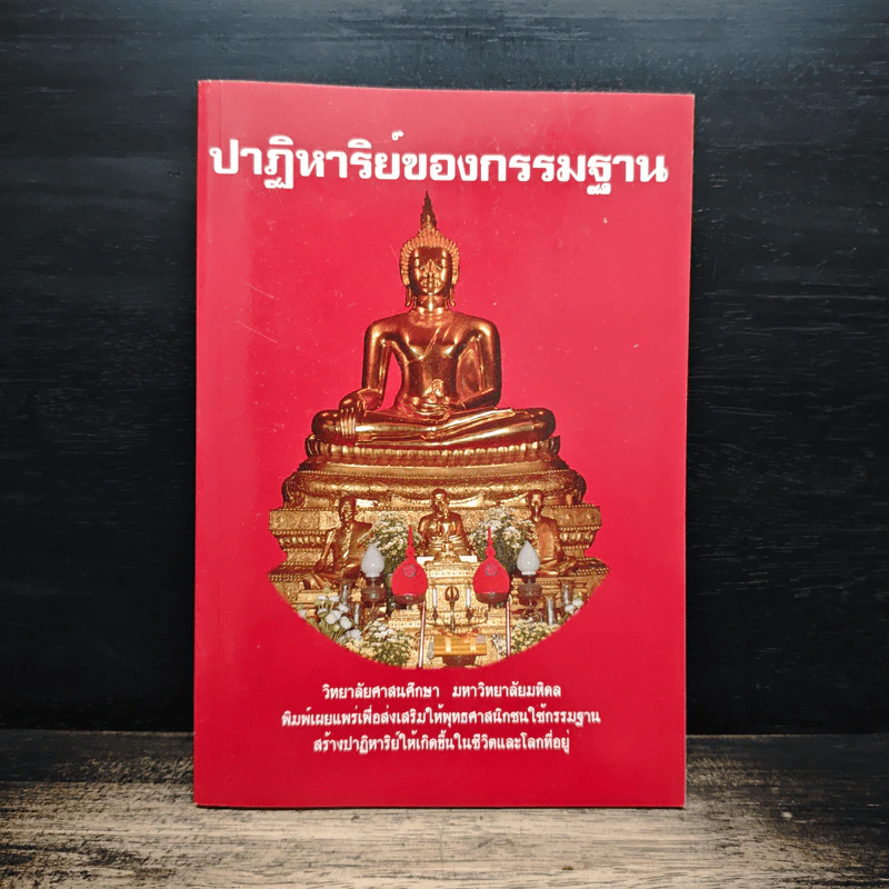 ปาฏิหาริย์ของกรรมฐาน รูปที่ 1