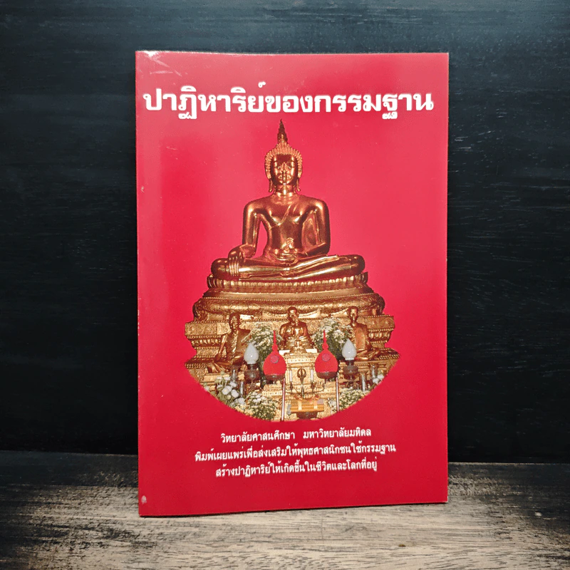 ปาฏิหาริย์ของกรรมฐาน รูปที่ 1