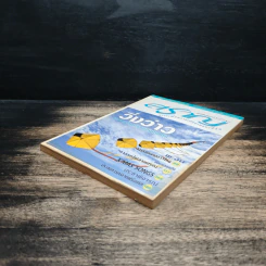 นิตยสารสาระสราญ ปีที่ 2 ฉบับที่ 16 ธ.ค.2541 รูปที่ 4