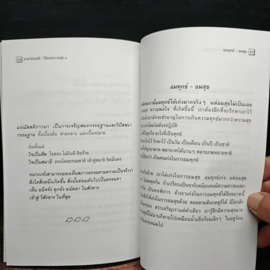 อานาปานสติ : วิถีแห่งความสุข 1 - พระอาจารย์มิตซูโอะ คเวสโก รูปที่ 9