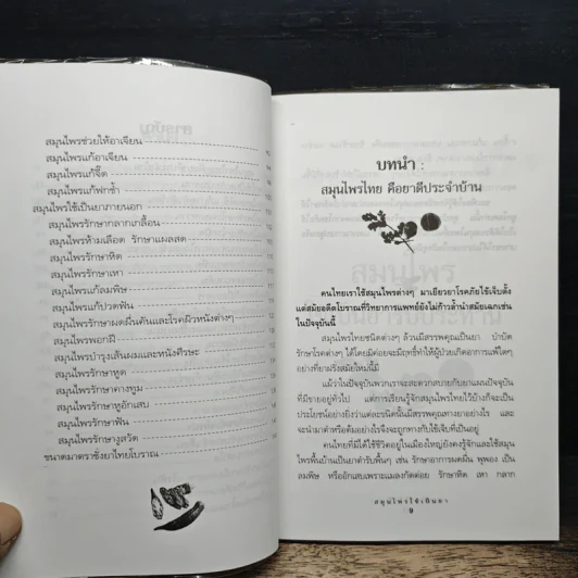 สมุนไพรใช้เป็นยา - ประทีป ทองเปลว รูปที่ 8
