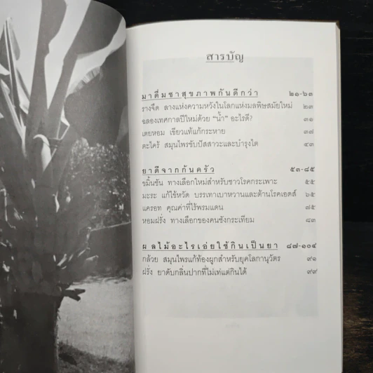 สุขภาพดีด้วยสมุนไพรใกล้ตัว ชุด 8 รูปที่ 7