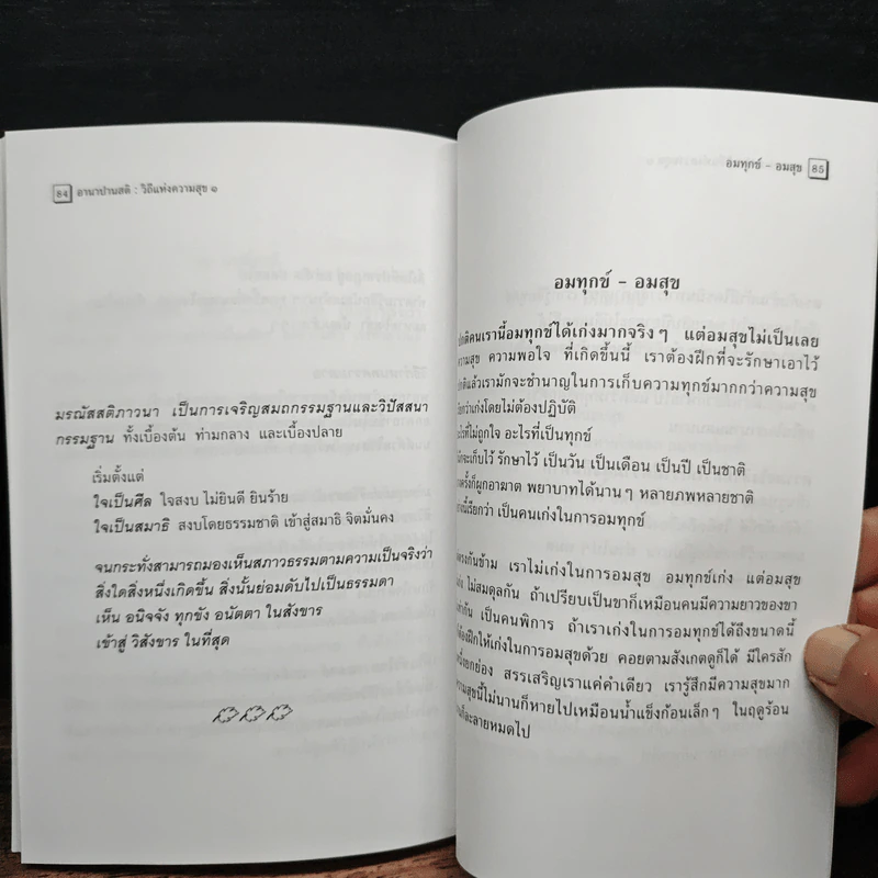อานาปานสติ : วิถีแห่งความสุข 1 - พระอาจารย์มิตซูโอะ คเวสโก รูปที่ 9