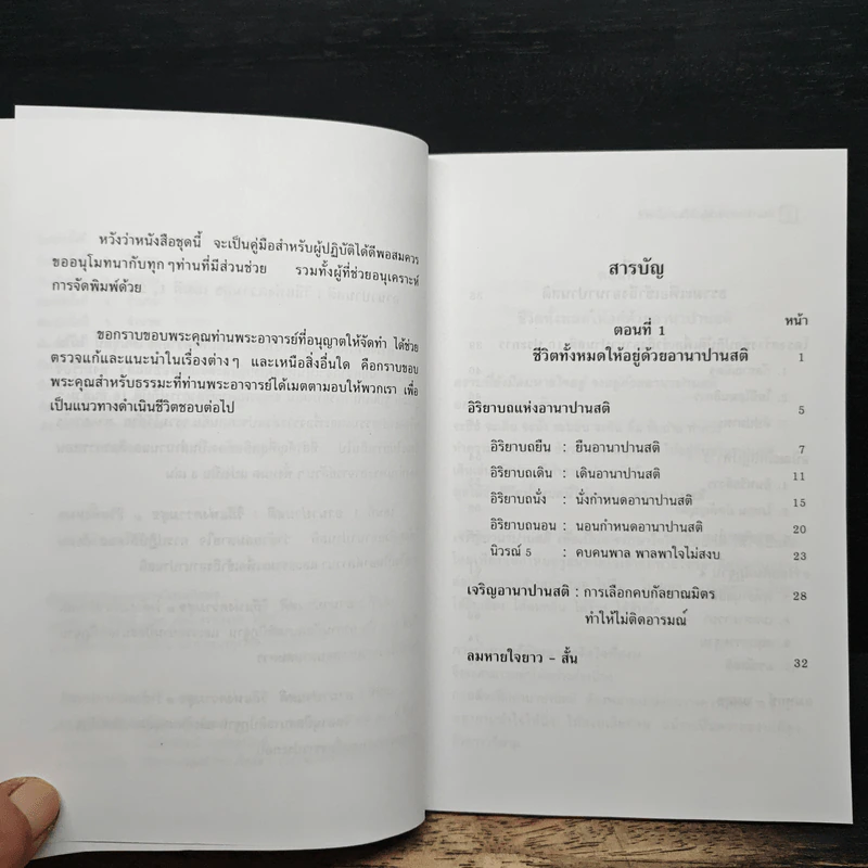 อานาปานสติ : วิถีแห่งความสุข 1 - พระอาจารย์มิตซูโอะ คเวสโก รูปที่ 7