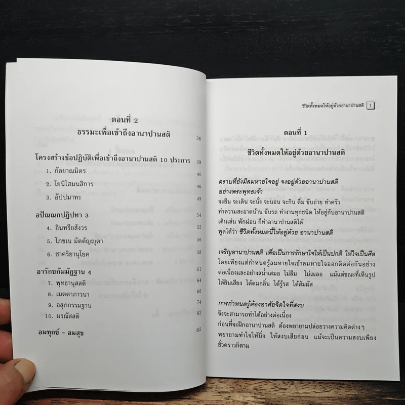 อานาปานสติ : วิถีแห่งความสุข 1 - พระอาจารย์มิตซูโอะ คเวสโก รูปที่ 8