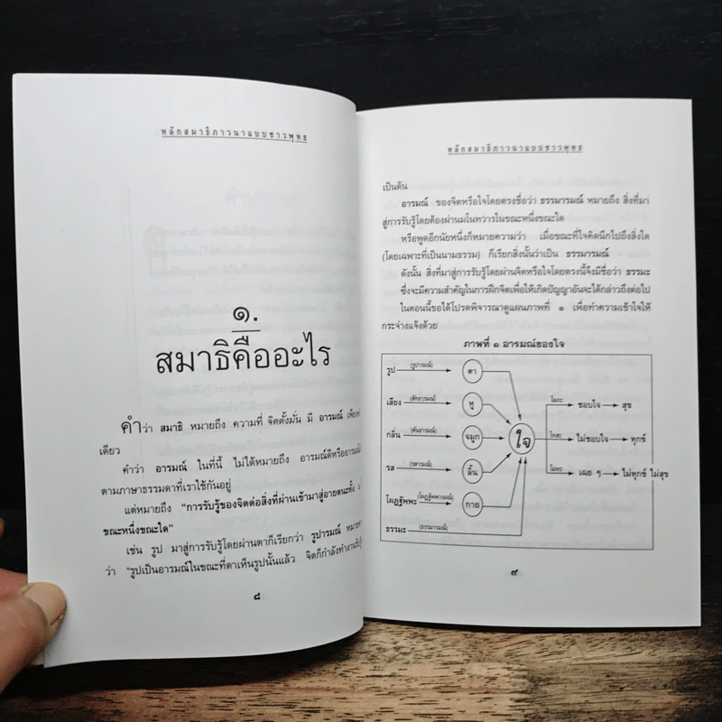 หลักสมาธิภาวนา แบบชาวพุทธ - ธัมมานุสารี รูปที่ 8