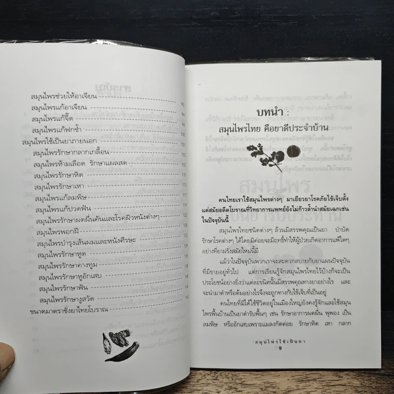สมุนไพรใช้เป็นยา - ประทีป ทองเปลว รูปที่ 8