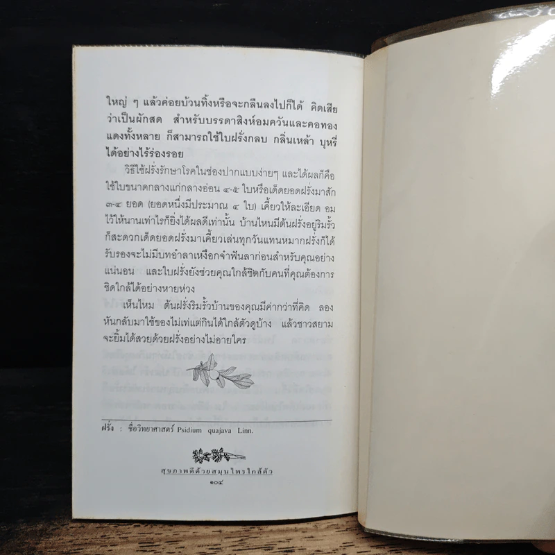 สุขภาพดีด้วยสมุนไพรใกล้ตัว ชุด 8 รูปที่ 8