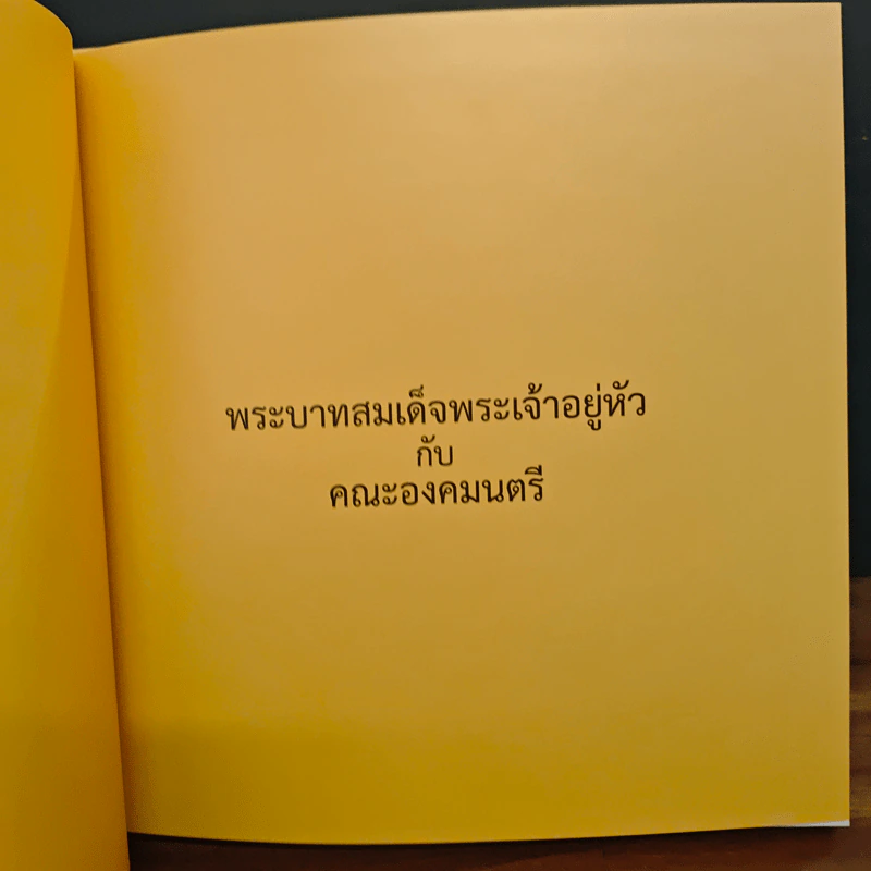 พระบาทสมเด็จพระเจ้าอยู่หัวกับคณะองคมนตรี รูปที่ 8