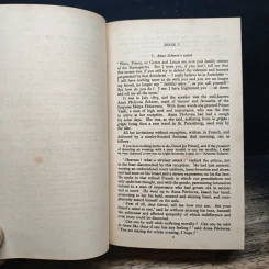 War and Peace - Leo Tolstoy รูปที่ 12
