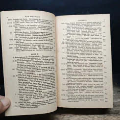 War and Peace - Leo Tolstoy รูปที่ 9
