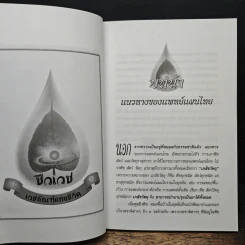 มหัศจรรย์แพทย์แผนไทย - ชีวเวทย์ รูปที่ 7