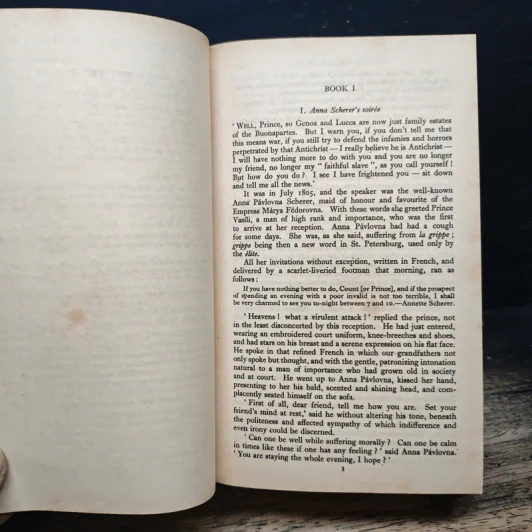 War and Peace - Leo Tolstoy รูปที่ 12