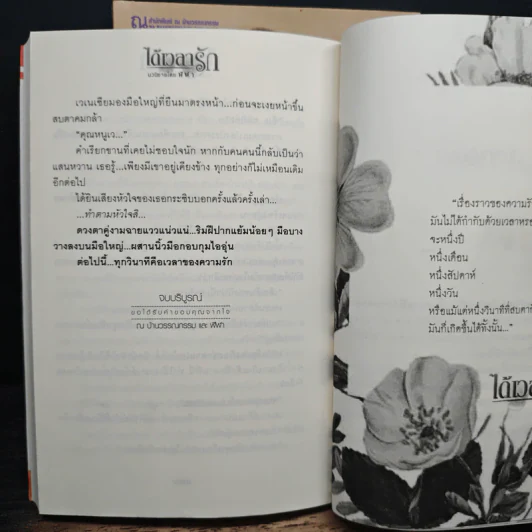 ได้เวลารัก 2 เล่มจบ - ฬีฬา รูปที่ 9