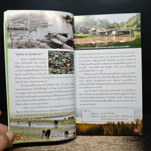 นกในทุ่งสวนหลวง คู่มือธรรมชาติวิทยา รูปที่ 9