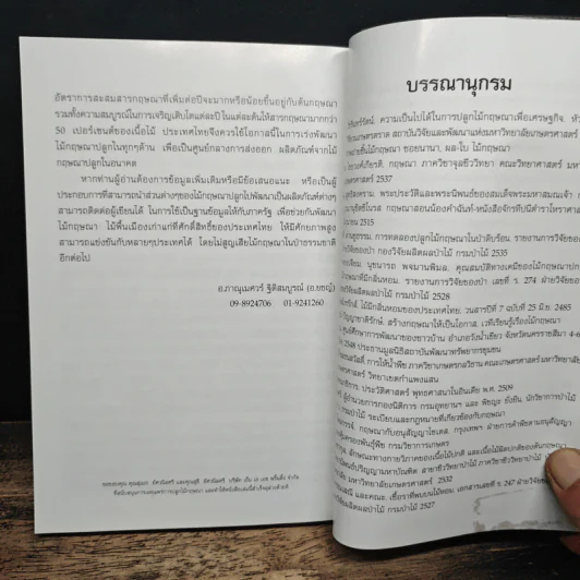 ต้นละหมื่นไร่เป็นล้าน... รูปที่ 12