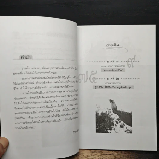 ธรรมะจุดประกายเพื่อความรู้เท่าทันชีวิต รูปที่ 7