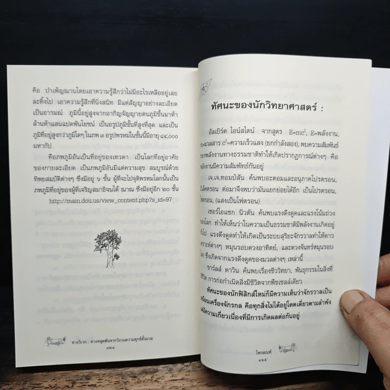 ทางวิเวก ทางหลุดพ้น จากวังวนความทุกข์ทั้งมวล - ไพรสณฑ์ รูปที่ 9