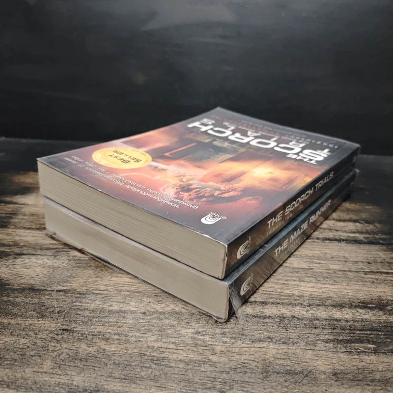 The Maze Runner เกมล่าปริศนา เล่ม 1-2 - James Dashner รูปที่ 5