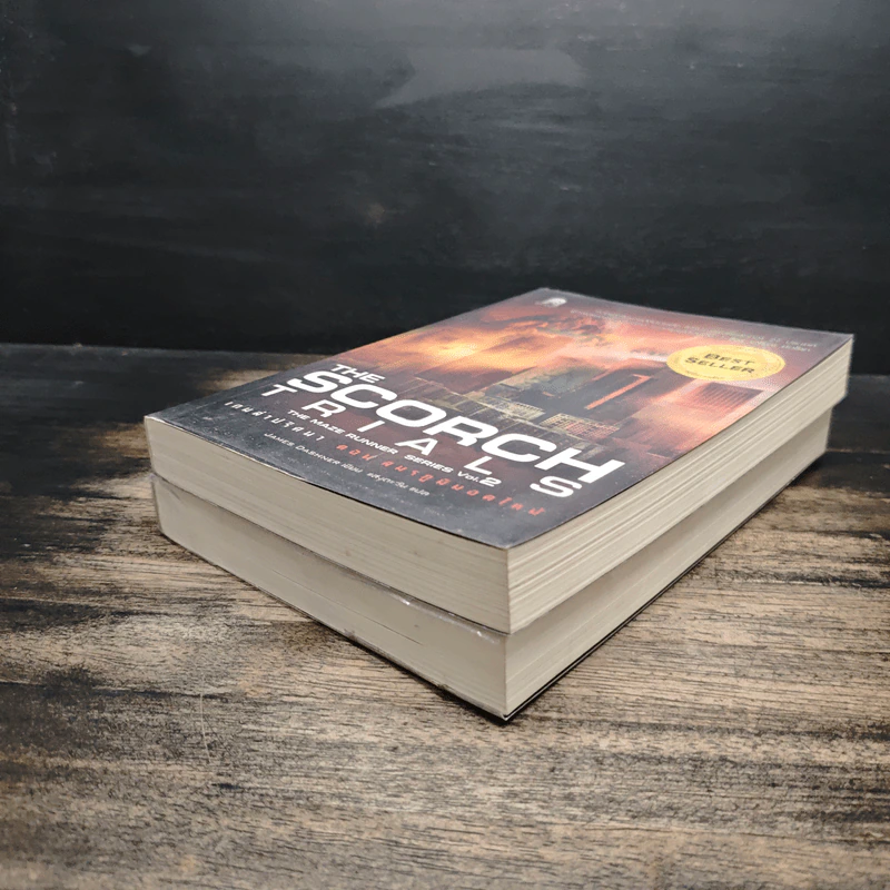 The Maze Runner เกมล่าปริศนา เล่ม 1-2 - James Dashner รูปที่ 4