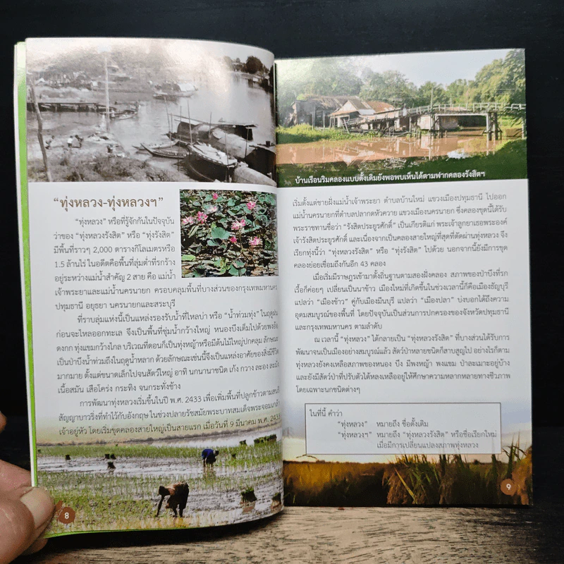 นกในทุ่งสวนหลวง คู่มือธรรมชาติวิทยา รูปที่ 9