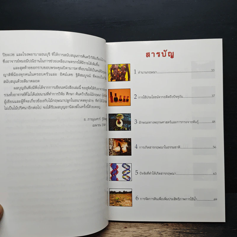ต้นละหมื่นไร่เป็นล้าน... รูปที่ 7
