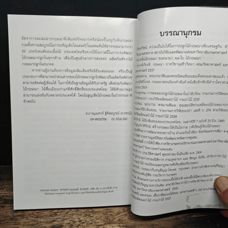 ต้นละหมื่นไร่เป็นล้าน... รูปที่ 12