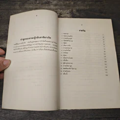 ลามะกลับชาติมาเกิด เป็นเด็กสเปน - วิกกี้ แมคเคน รูปที่ 7