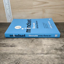 Mindset ใช้ความคิดเอาชนะโชคชะตา - Carol S.Dweck รูปที่ 2