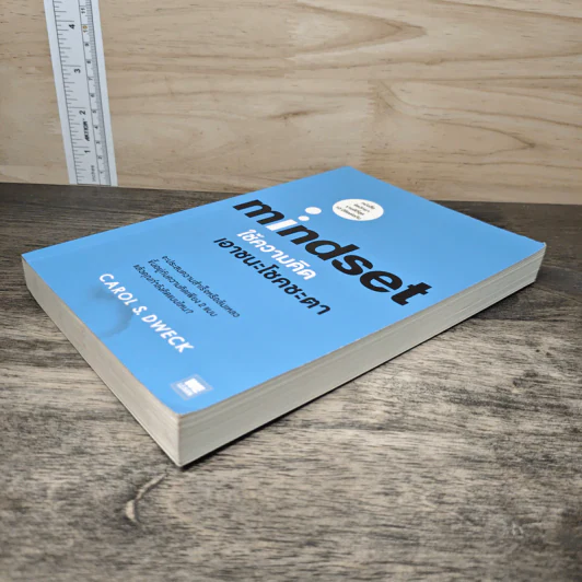 Mindset ใช้ความคิดเอาชนะโชคชะตา - Carol S.Dweck รูปที่ 3