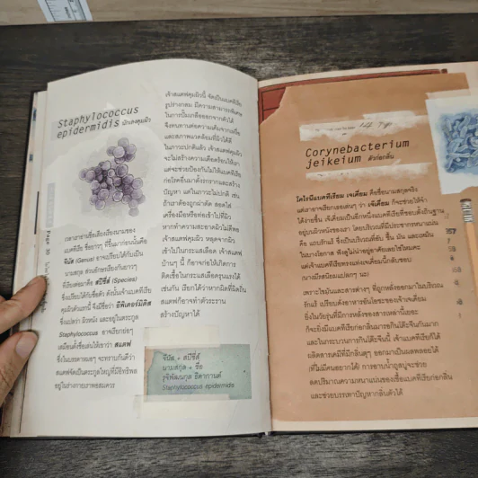 Microbiota อวัยวะที่ถูกลืม - ธิดากานต์ รุจิพัฒนกุล รูปที่ 8
