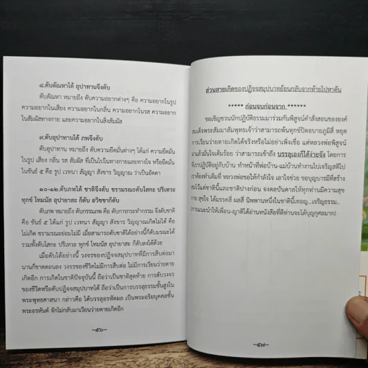 เส้นทางสู่พระนิพพาน (บรรลุเองก็ได้ง่ายจัง) รูปที่ 7