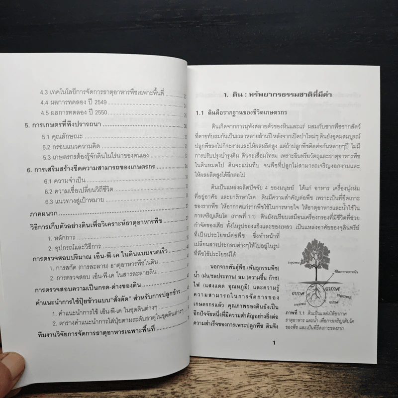 ธรรมชาติของดินและปุ๋ย คู่มือสำหรับการเกษตรยุคใหม่ รูปที่ 8