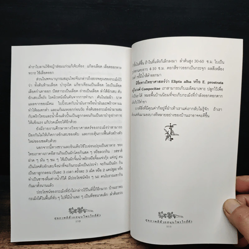 สุขภาพดีด้วยสมุนไพรใกล้ตัว ชุด 1 รูปที่ 9