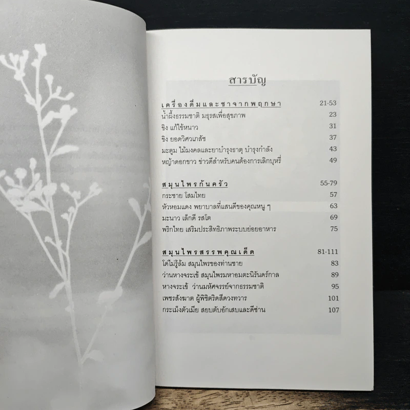สุขภาพดีด้วยสมุนไพรใกล้ตัว ชุด 1 รูปที่ 7