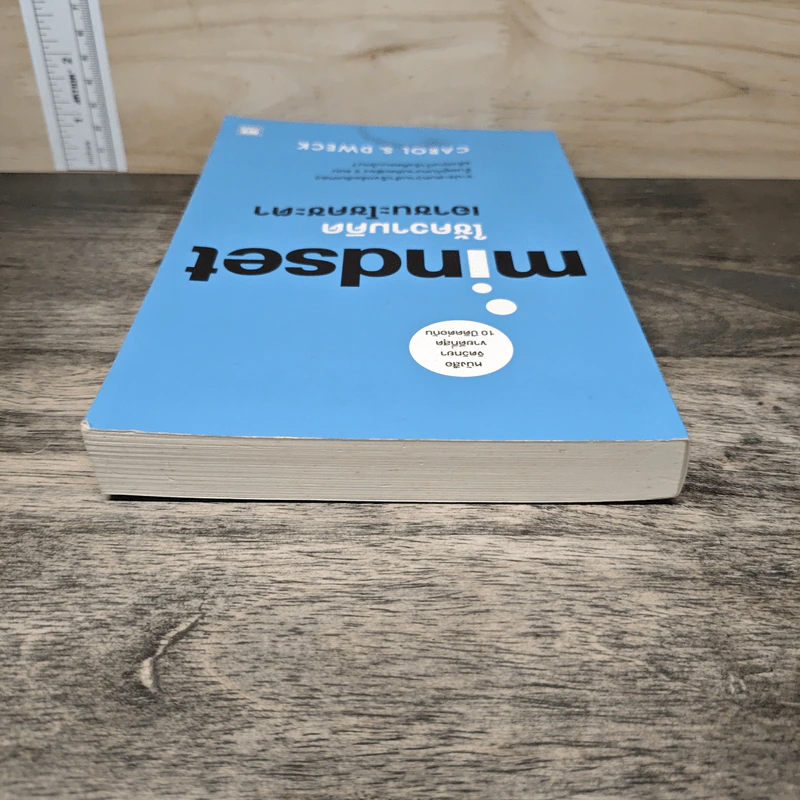 Mindset ใช้ความคิดเอาชนะโชคชะตา - Carol S.Dweck รูปที่ 4