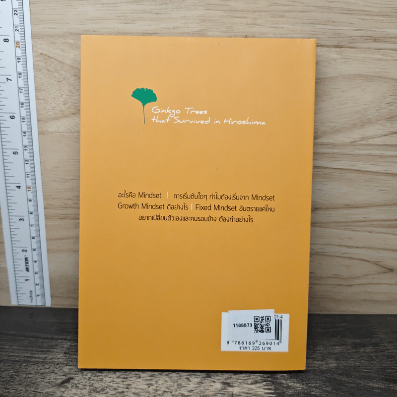 GROWTH MINDSET เพราะมีใจ จึงเรียนรู้ เพราะเรียนรู้ จึงเติบโต - ดร.วรภัทร์ ภู่เจริญ รูปที่ 5