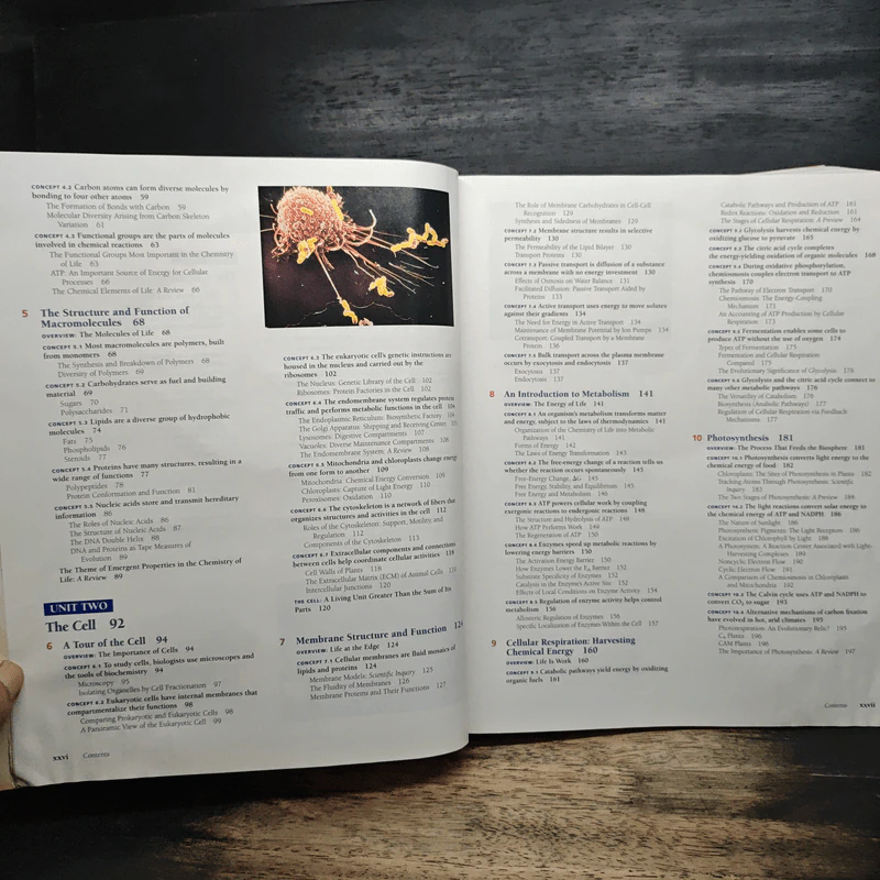 BIOLOGY - Campbell, Reece รูปที่ 10