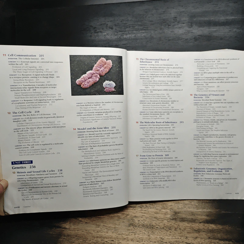 BIOLOGY - Campbell, Reece รูปที่ 11