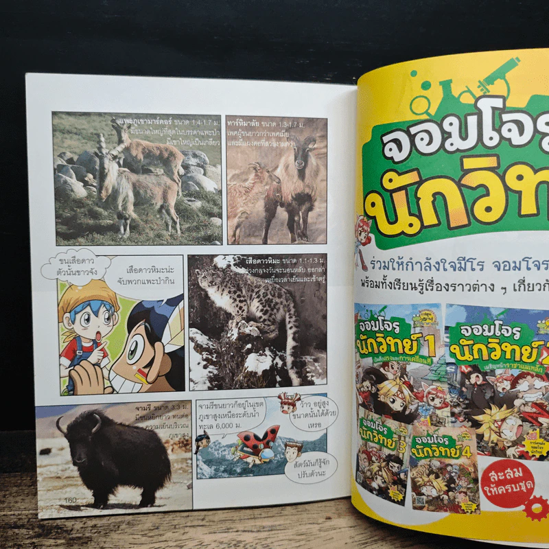 Why? สัตว์ รูปที่ 10